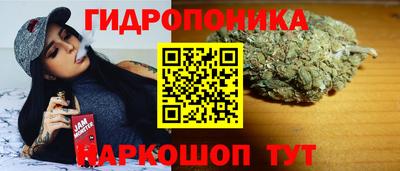 гидра Камышлов