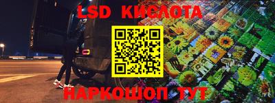 гидра Камышлов