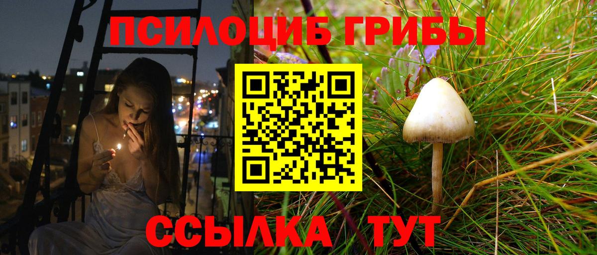 Галлюциногенные грибы мухоморы  Вход с VPN  купить наркотик  Биробиджан 